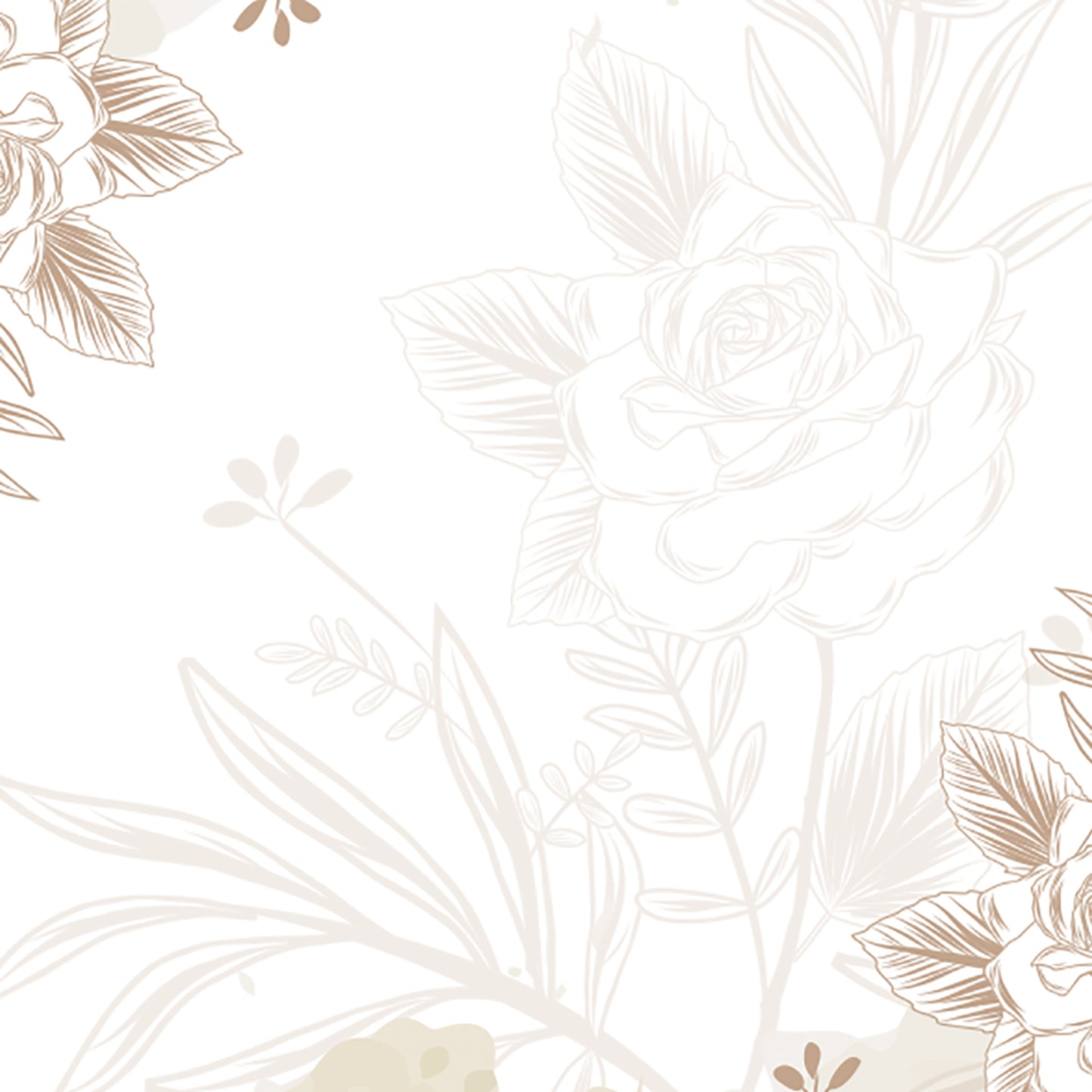 Ritta Putia Matrimonio 17M