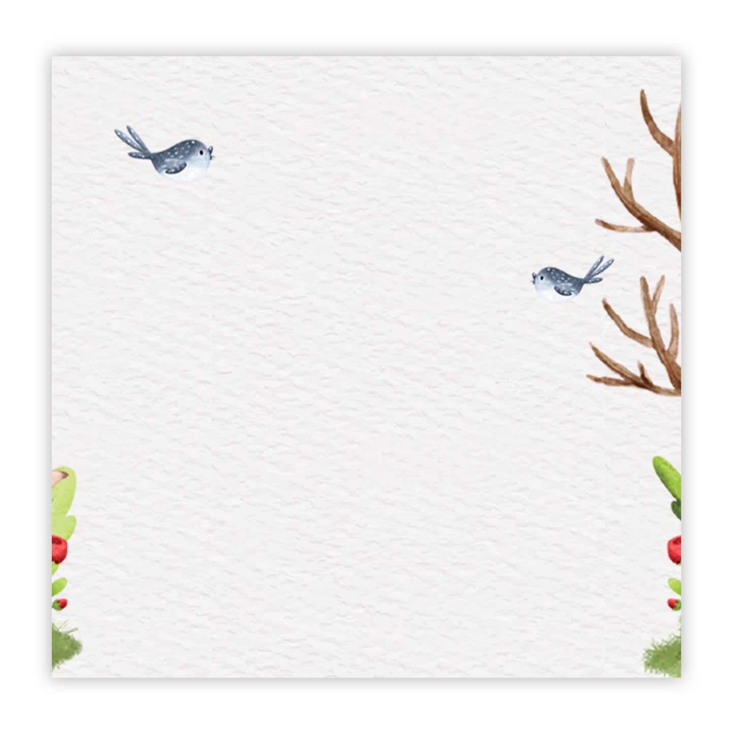 Putia Posa Nascita 58