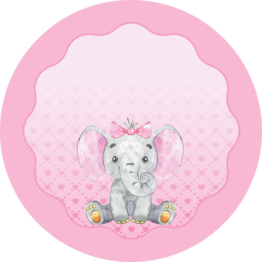 Calamita  Nascita Putia Elefantino 24